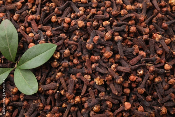 Fototapeta Many aromatic cloves and green leaves as background, top view. Space for text