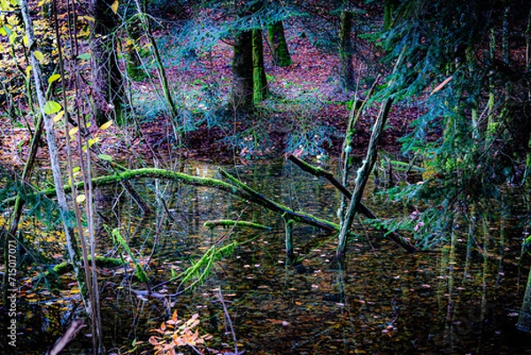 Obraz étang impressionniste