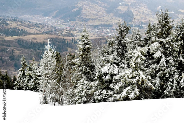 Obraz winter landscape in the mountains