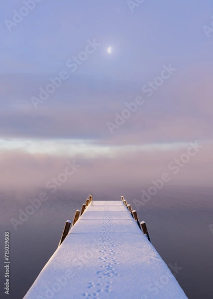 Obraz Pointing to the Moon