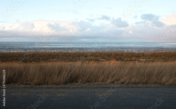 Obraz Dutch wide landscape with dike and winter sky, Waddensea