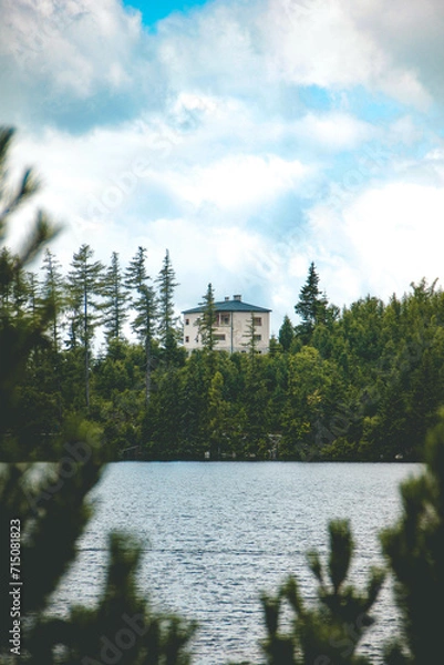 Obraz House in the forest