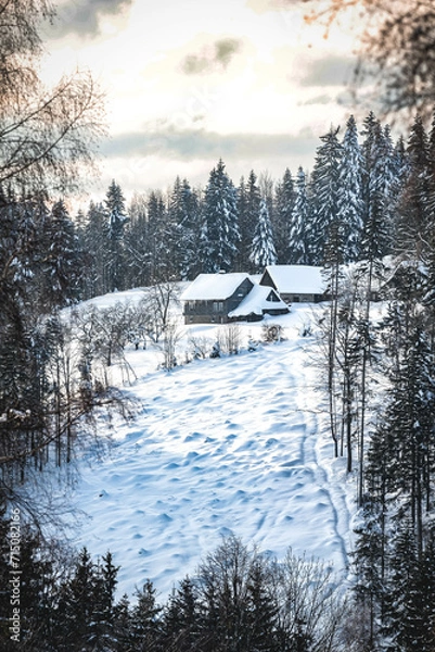 Obraz landscape house in the mountains