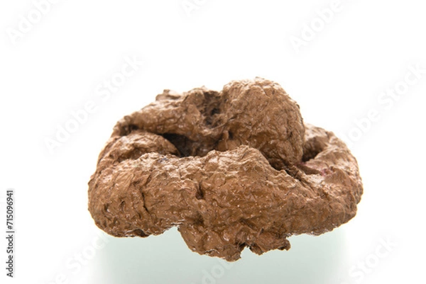 Fototapeta Human poop