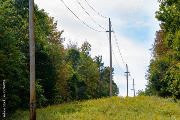 Obraz Electric transmission lines on an easement cut through a forest in a rural area