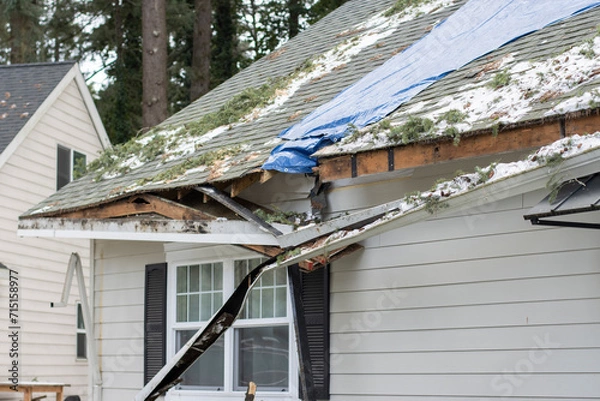 Obraz Residential house crushed by fallen trees and tree limbs during severe winter storm with strong winds. Tarp is placed on the damaged rooftop area as a temporary measure before proper roof repairs.