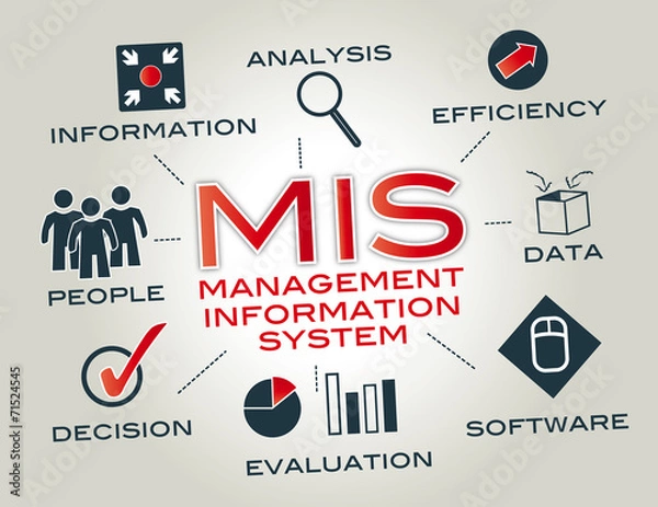 Fototapeta management information system, MIS