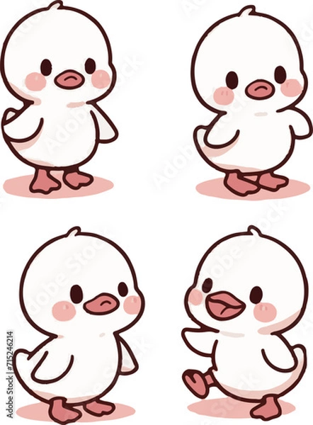 Fototapeta アヒル