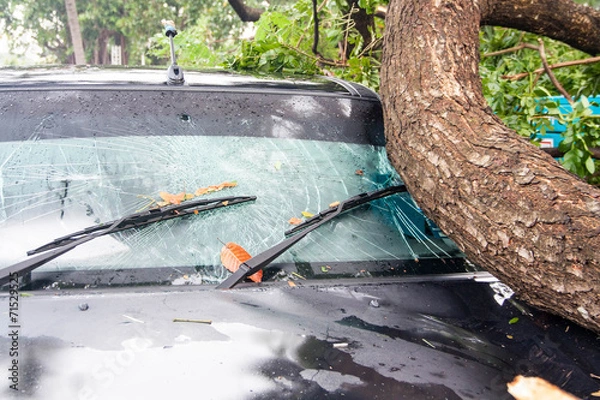 Fototapeta damaged car