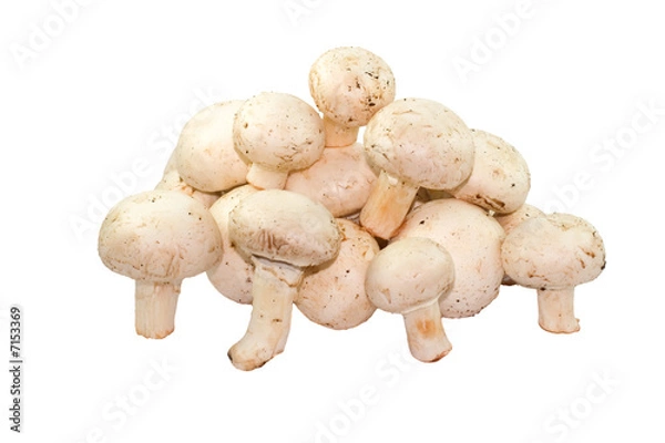 Fototapeta Button mushrooms