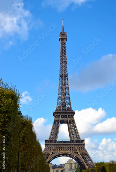 Fototapeta Eiffel Tower in Evening