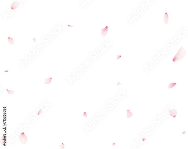 Fototapeta Falling Sakura Petals