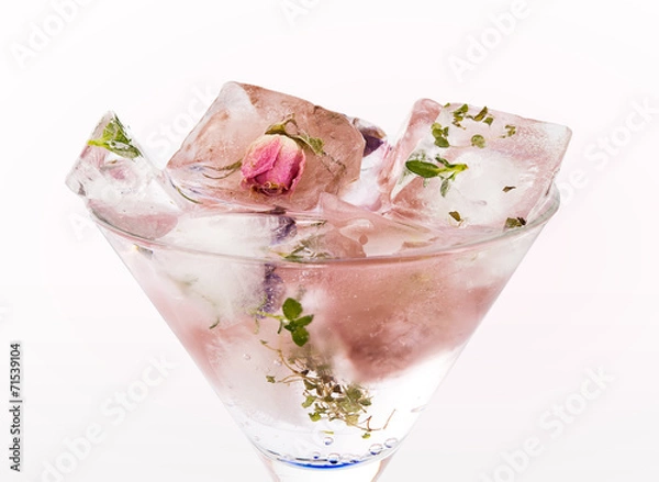 Obraz rose drink