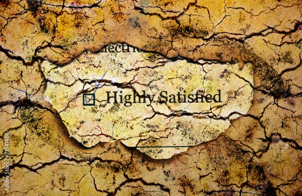 Fototapeta Survey form - satisfied