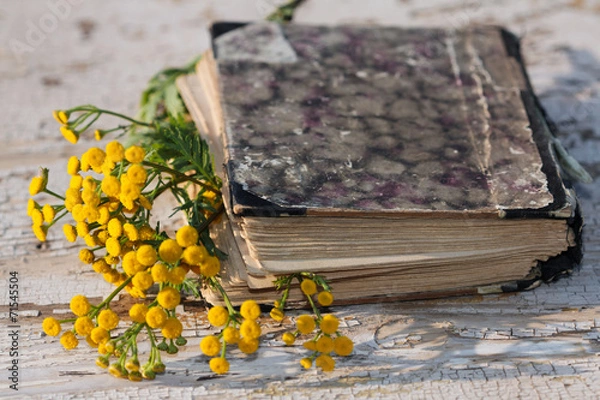 Fototapeta book with flower