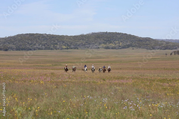 Obraz Horse Riding Camp