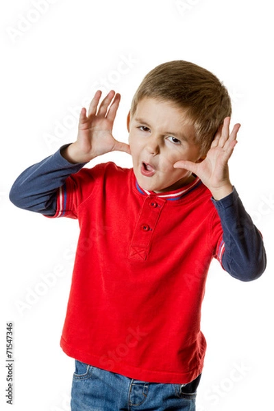 Obraz Boy ape