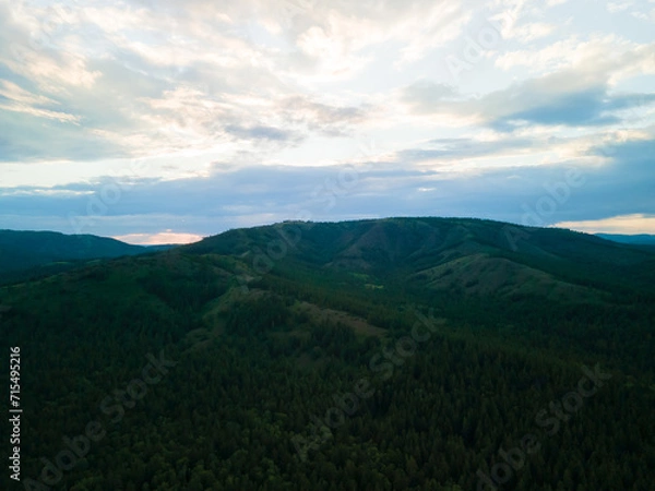 Fototapeta Coniferous green forest in the mountains in summer at sunset in the evening. Landscape, nature, travel concepts.