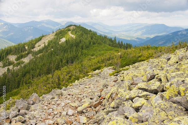 Obraz Track on a slope