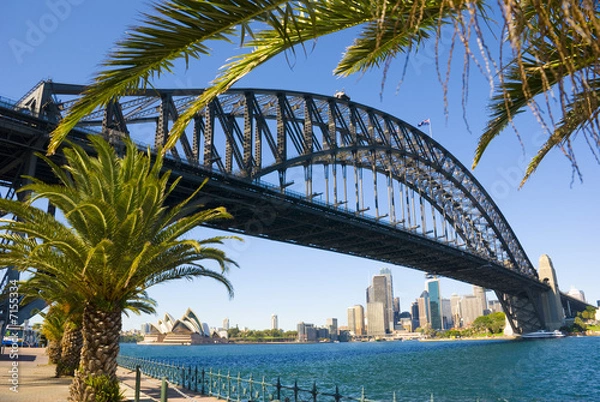 Obraz Sydney Harbour Bridge Palm Trees