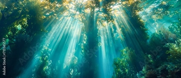Fototapeta A tranquil forest scene captures the beauty of nature as the sun's rays filter through the water, illuminating the lush trees and plants in a picturesque landscape