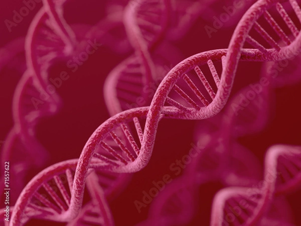 Fototapeta DNA on red background