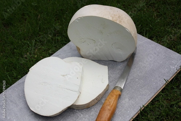 Obraz Riesenbovist auf der Wiese, mit Messer und Holzunterlage in Scheiben geschnitten