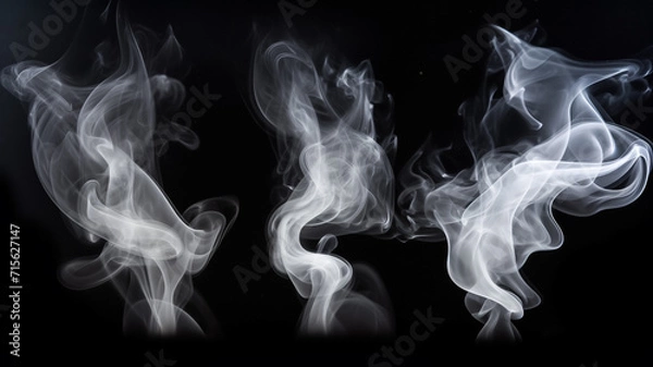 Fototapeta Set of white fog or smoke on dark black copy space background. Texture overlays. Design element.
