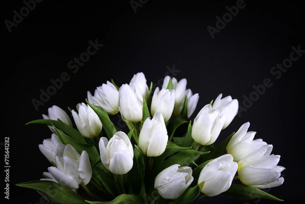 Obraz A bunch of white tulips on black background