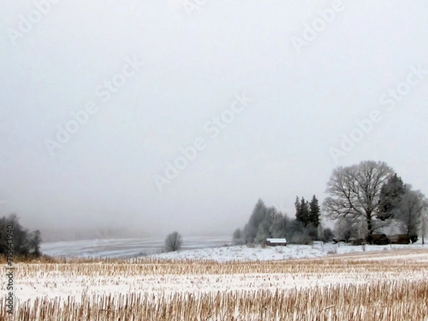 Fototapeta - a gray, calm day in the Latvian countryside