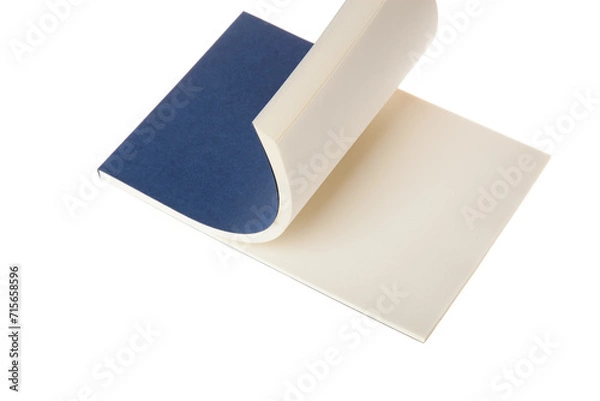 Fototapeta Blank open Notepad isolated. Open diary with blank pages