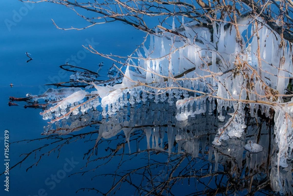 Obraz Das singende, klingende Bäumchen