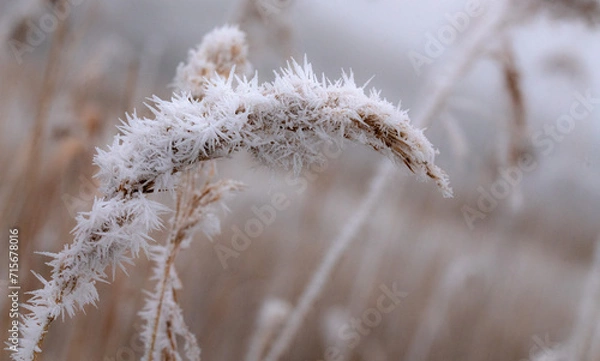Obraz Väterchen Frost 3