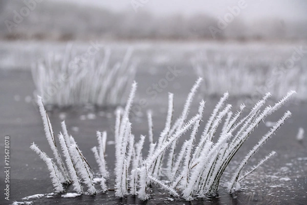 Obraz Väterchen Frost