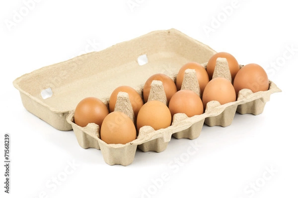 Obraz Paper Egg Tray