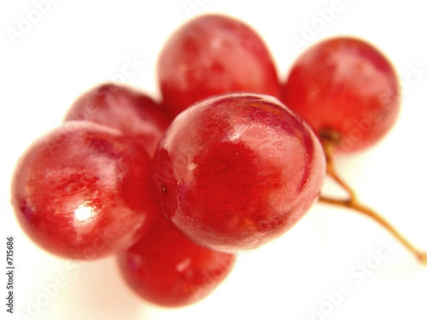 Obraz raisin fruit