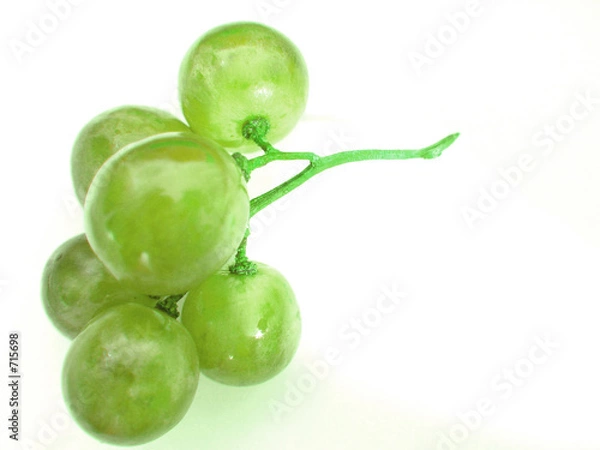 Obraz raisin vert