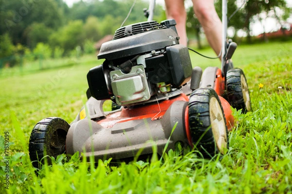 Obraz Lawn-Mover