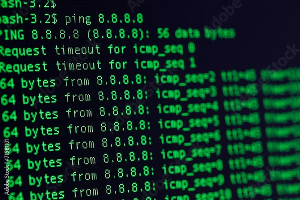 Obraz UNIX bash shell green color on black background