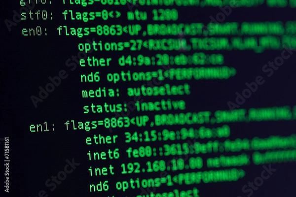 Obraz UNIX bash shell green color on black background