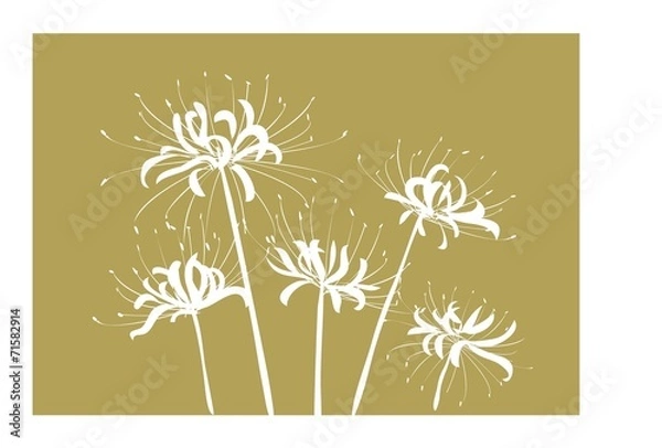 Obraz 彼岸花のシルエット