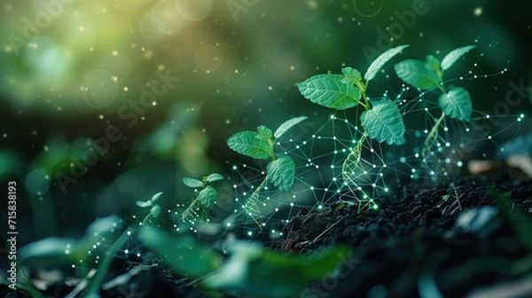 Fototapeta koncepcja zielonej biotechnologii lub biologii syntetycznej, grafika rośliny z DNA.