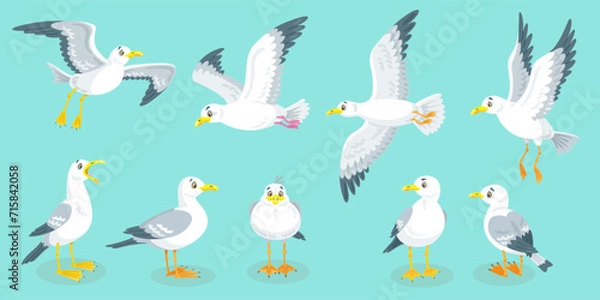 Fototapeta Set of white seagulls in different poses. They sit and fly. In cartoon style. Isolated on blue background. Vector flat illustration