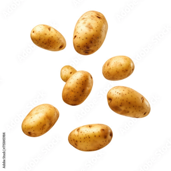 Fototapeta Falling potatoes Isolated on white background