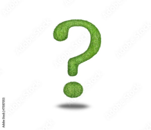 Obraz question mark, grass