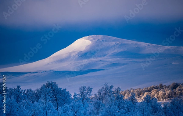 Obraz Winterwonder land