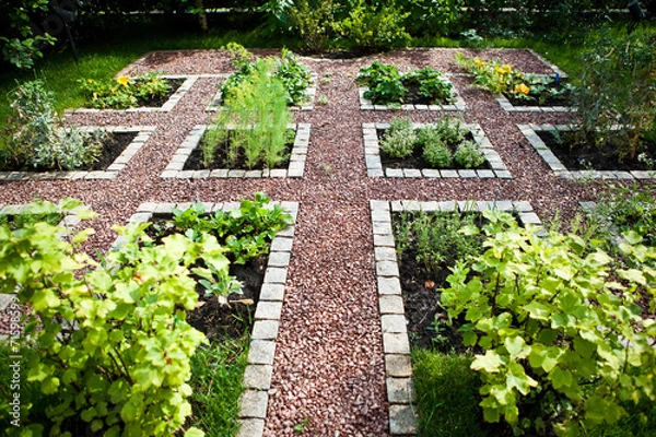 Fototapeta Сад / Garden