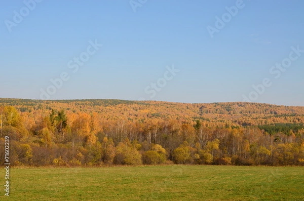 Obraz Золото Урала