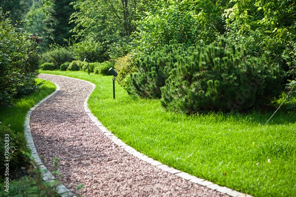 Fototapeta Сад / Garden