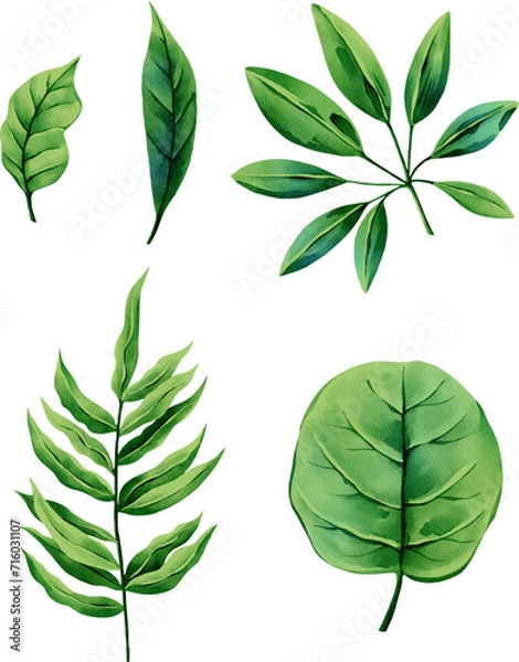 Fototapeta set of illustrations of tropical leaves, elements suitable for summer fabric print patterns
